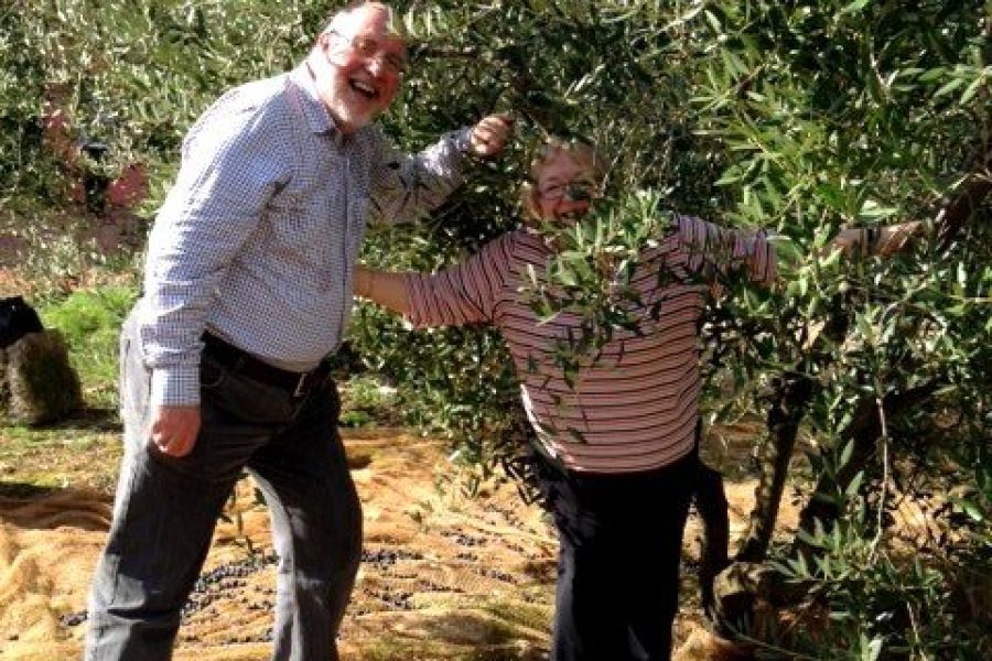 The Green Gold of Italy