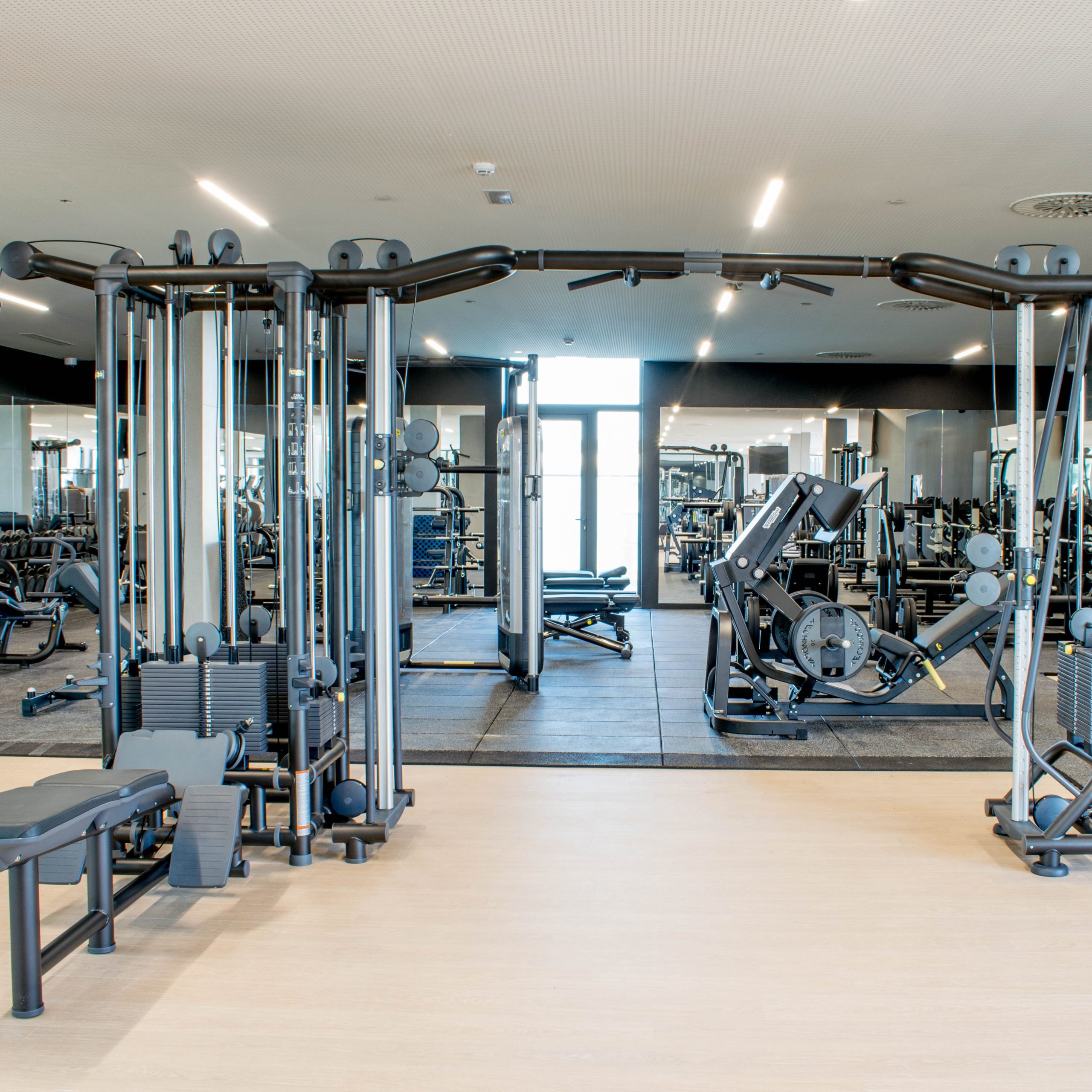 Athletes for birthday, shop opening, training experience